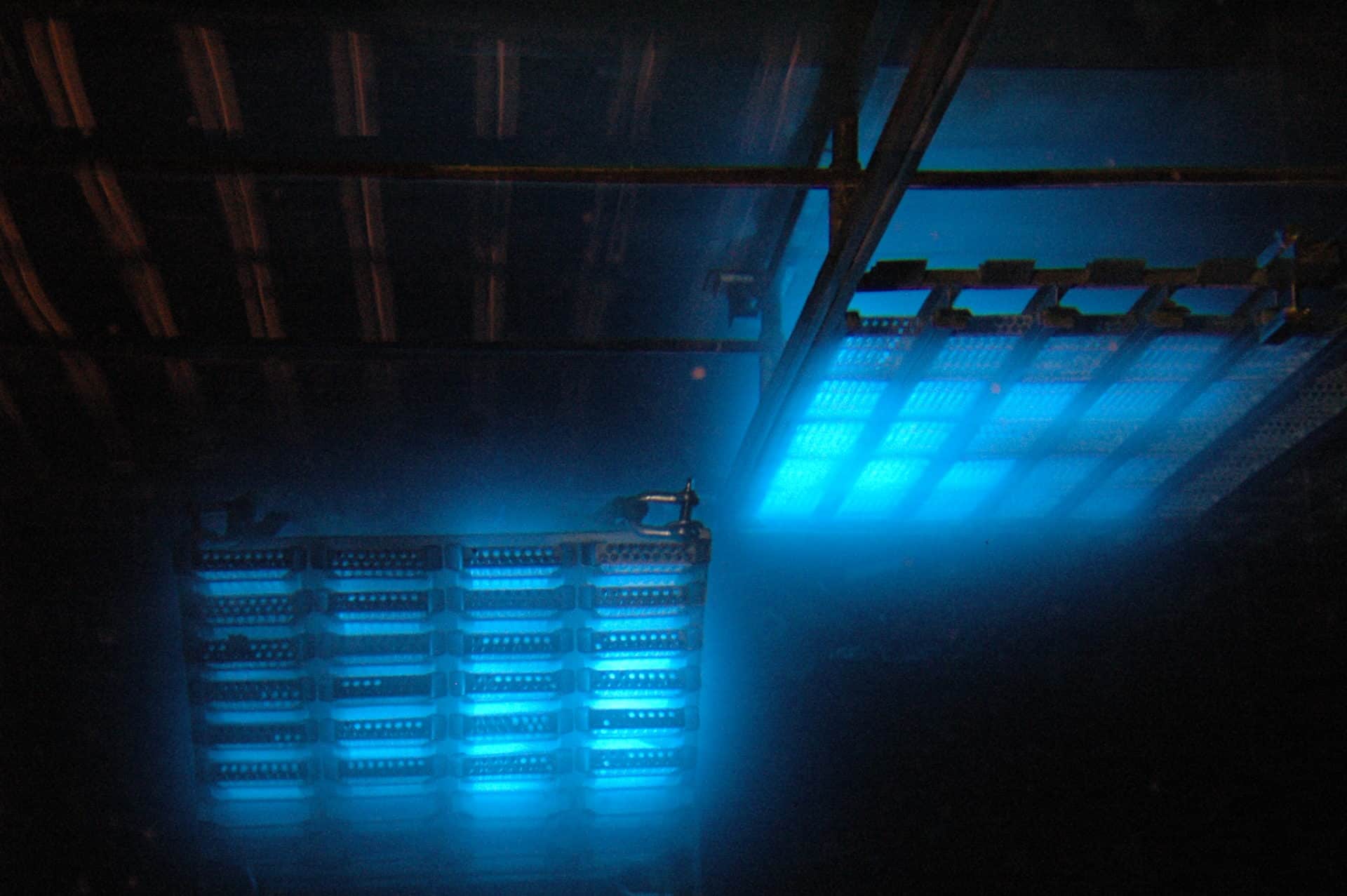 Irradiador gamma Ionisos